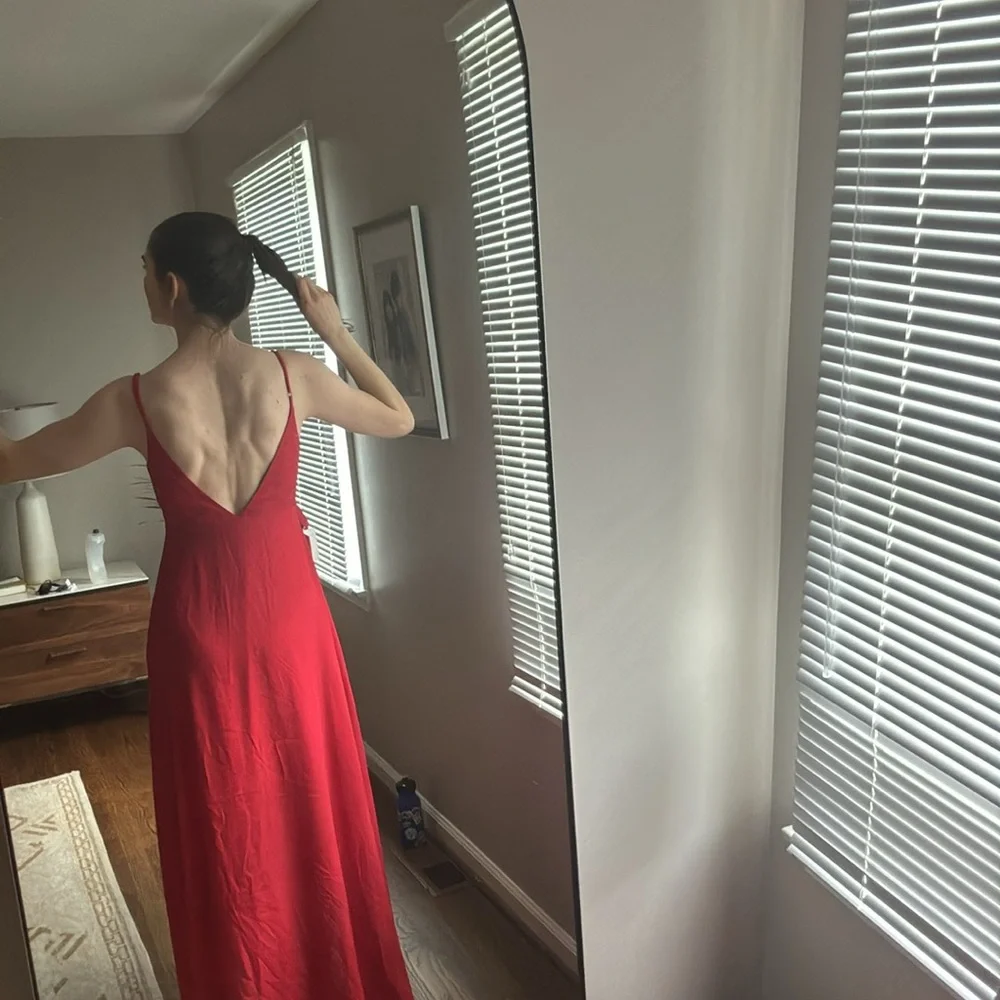 Show Me Your Mumu Dress - Picture 4 of 5